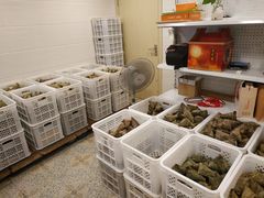 水产区-璐坊粽王(复兴中路店)