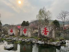 -香雪海
