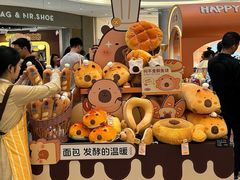 -首开·龙湖成都西宸天街