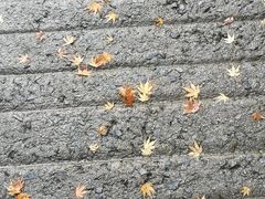 -醍醐寺