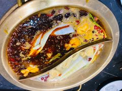 -杨家火锅(国美店)