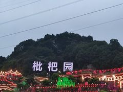 -枇杷园食为鲜火锅(南山店)