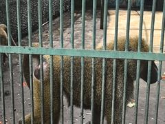 -秦皇岛野生动物园