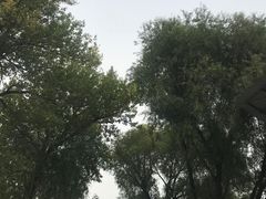-北戴河集发农业梦想王国
