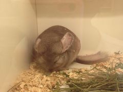 -龙猫仔乐园(惠福东路店)