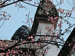 -乌山风景区