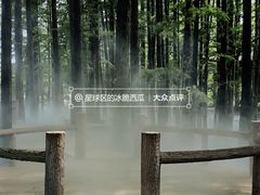-东湖落雁景区