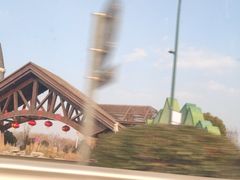 -荷兰花海