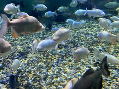 -成都浩海立方海洋公园