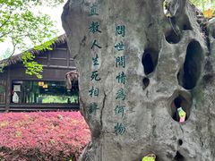 -绍兴鲁迅故里·沈园景区