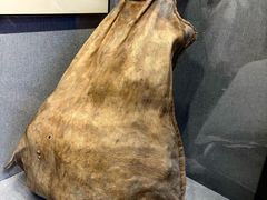 -包头博物馆