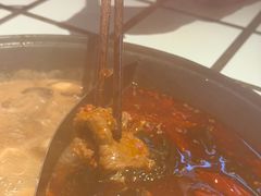 -朱光玉火锅馆(正弘城店)