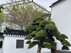 -广富林宰相府酒店·水云间
