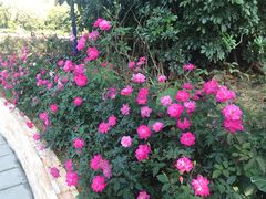 -人民公园(罗湖区)