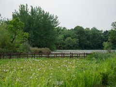 -白鹭湾湿地公园