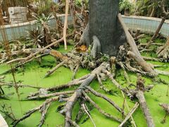 -石家庄市植物园