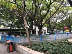 -晓港公园