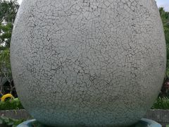 -100蛋泥浆浴