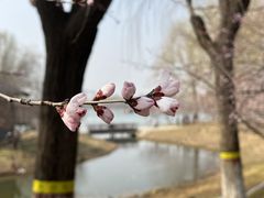-河北省园博园
