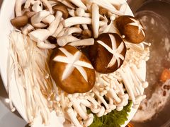 -九府羊·鲜羊火锅·烤串(新华路店)