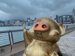 -中环半山扶手电梯