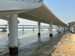 -演武大桥观景平台