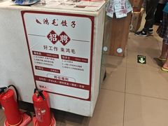 -鸿毛饺子(紫竹桥店)