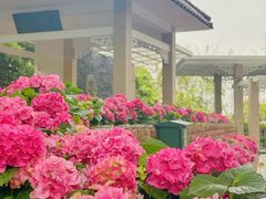 -广州市白云山风景名胜区