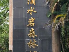 -滴水岩森林公园