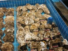 -百富源·海鲜辽菜(张士店)