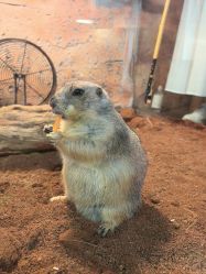 -Zoolung Zoolung动物主题公园(海信广场店)