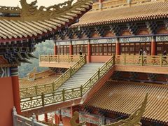 -东莞市大岭山森林公园