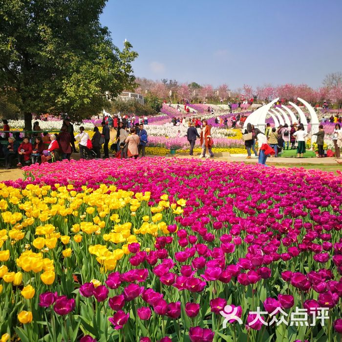 漫花莊園圖片-北京植物園-大眾點評網