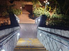 -九龙公园