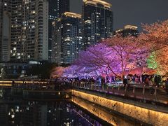 -西北湖绿化广场