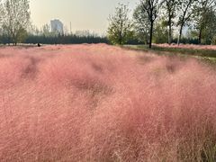 -汉长安城未央宫国家考古遗址公园