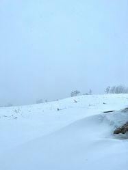-大秃顶子山(雪谷店)