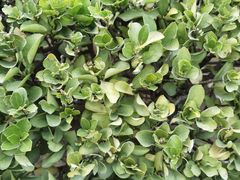 -云川台球(马甸店)