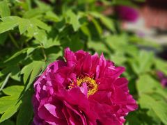 -大钟寺古钟博物馆