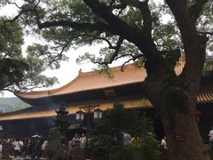 -普陀山慧济禅寺