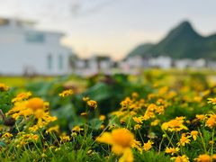 -万峰林风景区