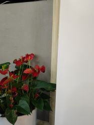 -深圳阳光医疗美容医院·旗舰店