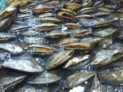 -渔傅·蓝海岸霞浦海鲜(正祥店)