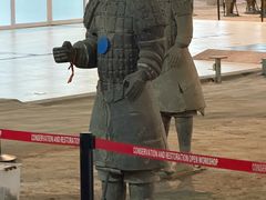 -秦始皇帝陵博物院-丽山园