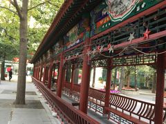 -中国人民解放军总医院(301医院)