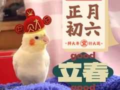 -东四民芳餐厅(世茂工三店)