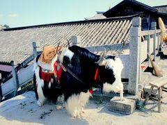 -天龙八部武侠城