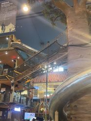 -卡通尼·Safari非洲探索乐园·生日会(金桥国际商业广场店)