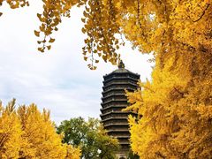 -玲珑塔公园