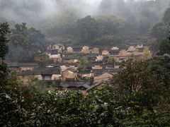 -杨家堂村